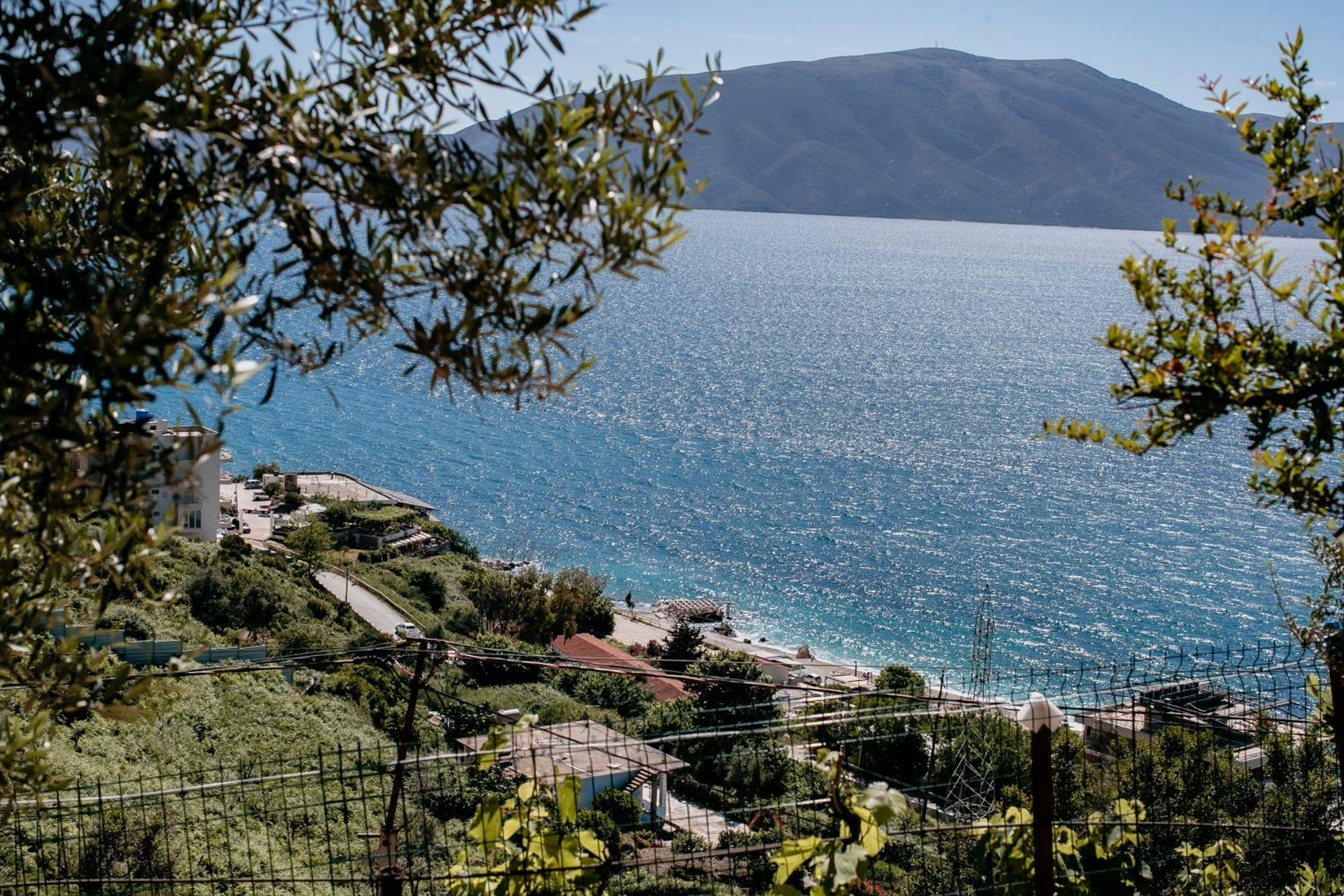 Kanine Villa Del Mar מראה חיצוני תמונה