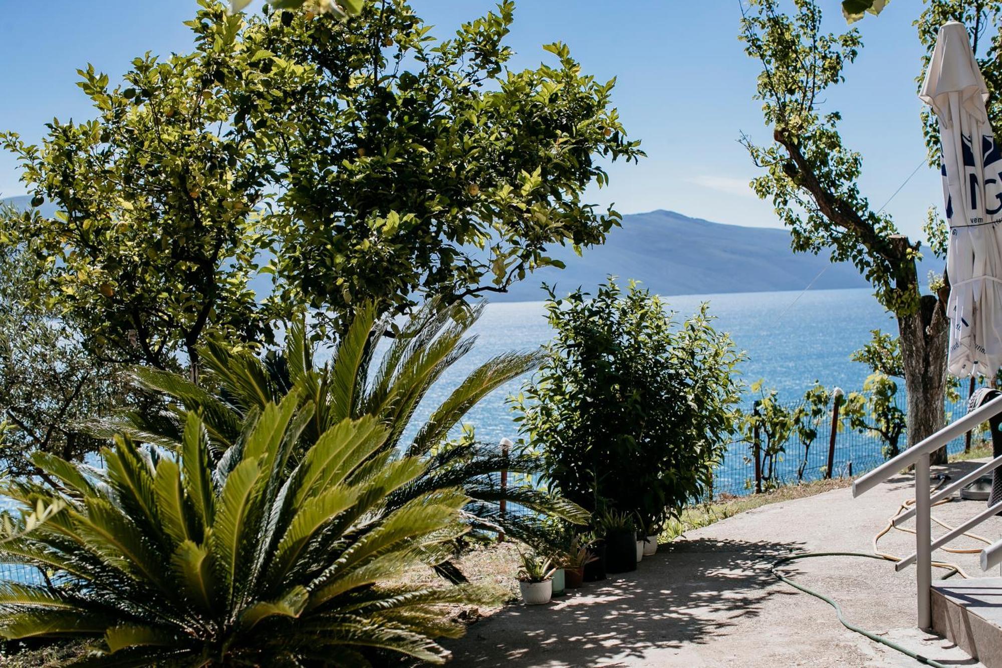 Kanine Villa Del Mar מראה חיצוני תמונה