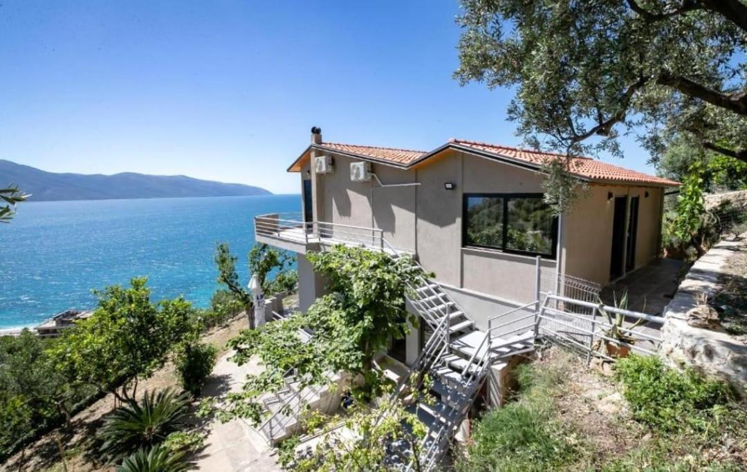 Kanine Villa Del Mar מראה חיצוני תמונה