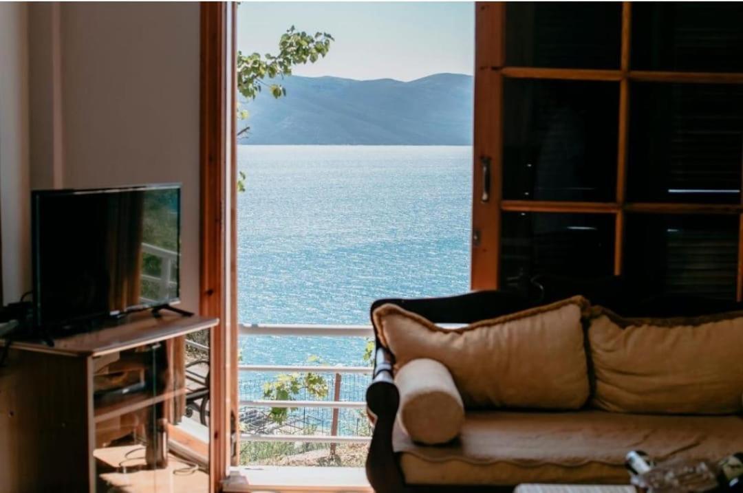 Kanine Villa Del Mar מראה חיצוני תמונה